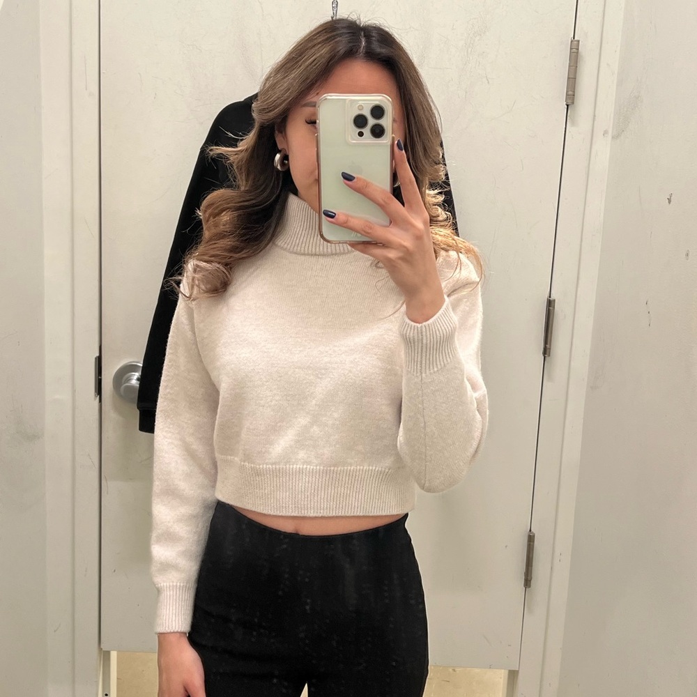 Aritzia Wilfred Free turtleneck cropped sweater